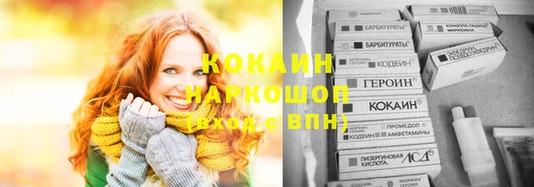 амф Новозыбков
