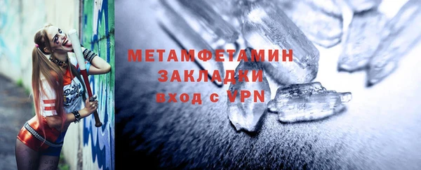 прущие грибы Новодвинск
