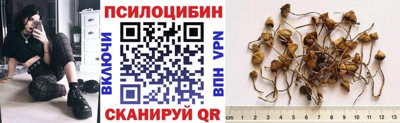 shop телеграм купить закладку Короча Галлюциногенные грибы ЛСД